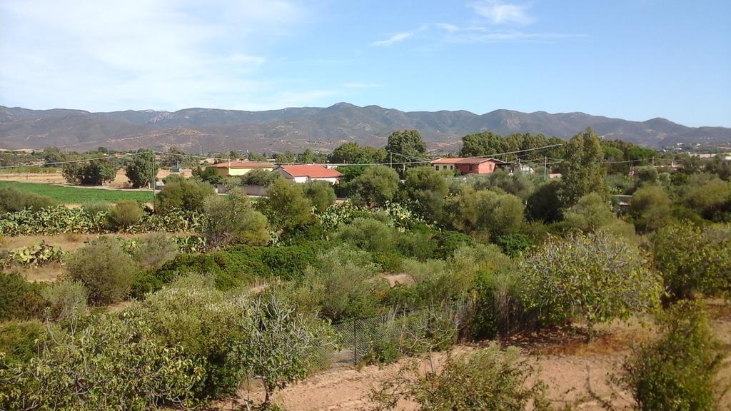 Villa Renzo E Lucia Sant Isidoro  Eksteriør bilde